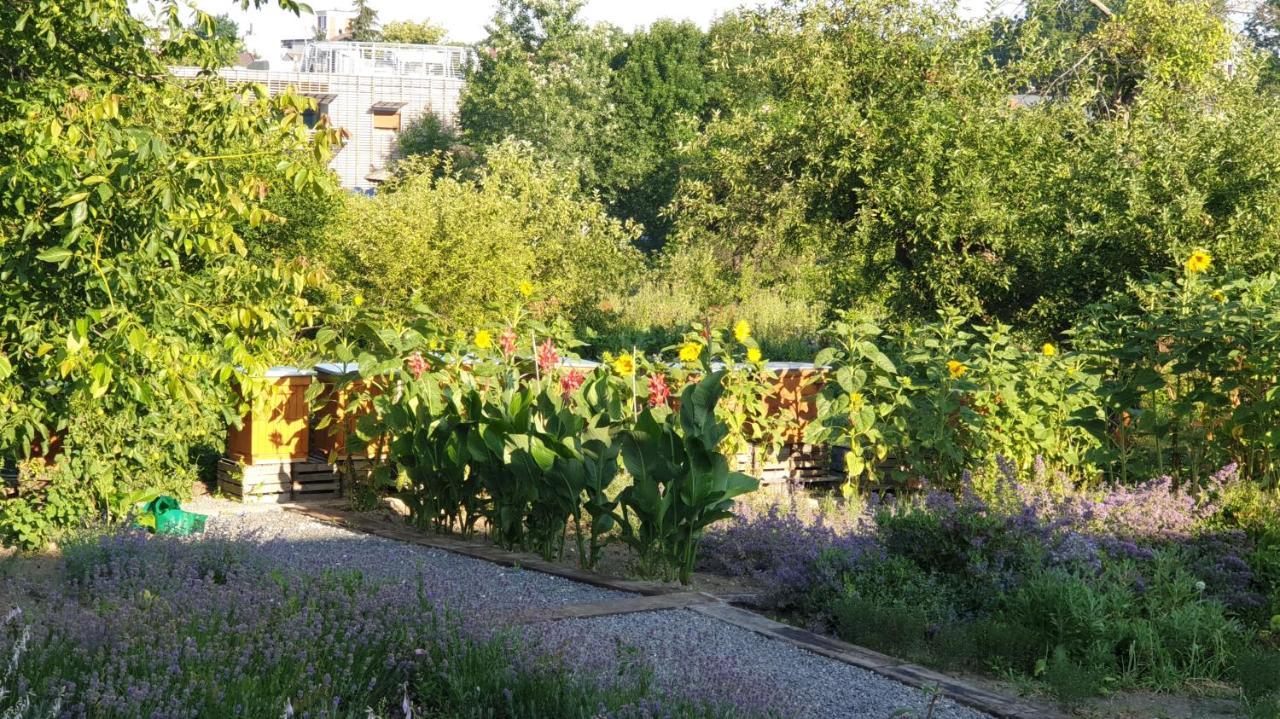 Agroturystyka U Joli Pacanow Екстер'єр фото